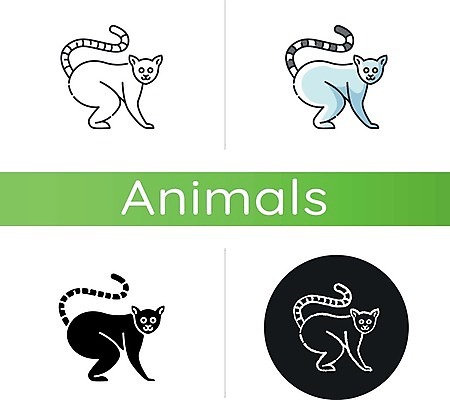 EPS 해외이미지 여러마리 일러스트 사람없음 세트 원형 호랑이꼬리여우원숭이 해외일러스트 도형 다수 원숭이 파일형식 벡터 이미지허브