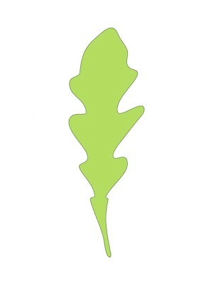 EPS 해외이미지 식물 손 디자인 음식 백그라운드 잎 농업 다이어트 채소 일러스트 재료 자연 건강 요리 미술 그래픽 초록색 세트 주방 정원 샐러드 로켓 수확 흰색 신선 양념 시장 인쇄 허브 향신료 오브젝트 메뉴 그림 유기농 날것 내추럴 고립 루꼴라 엘리먼트 채식주의자 해외일러스트 웰빙 산업 컬러 문화예술 신체부위 생태계 채식 향미료 파일형식 벡터 이미지허브