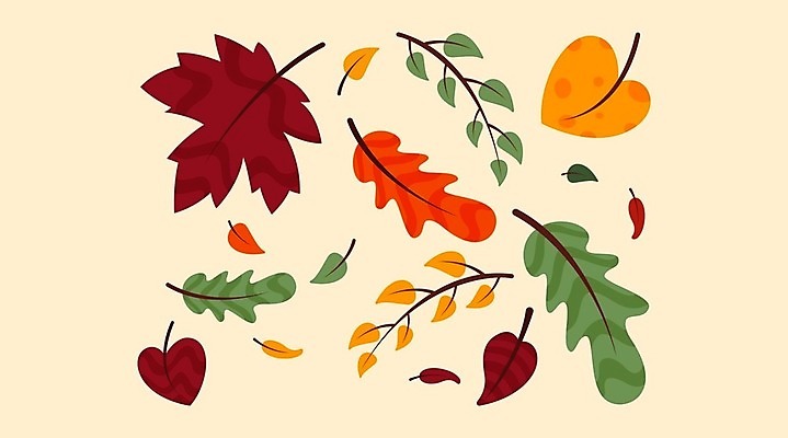 EPS 해외이미지 라이프스타일 배너 교육 행복 포스터 지구 캠페인 백그라운드 컨셉 일러스트 텍스트 교통시설 자동차 자연 추상 건강 사람 초록색 세계 반사 걷기 환경 자전거 힘 에너지 축하 플랫 9월 에코 윤곽 사이클링 일반 내추럴 무료 생태학 해외일러스트 감정 육상교통 컬러 교통 무늬 모션 생활 바이크 날짜 육상스포츠 시설 생태계 파일형식 벡터 이미지허브