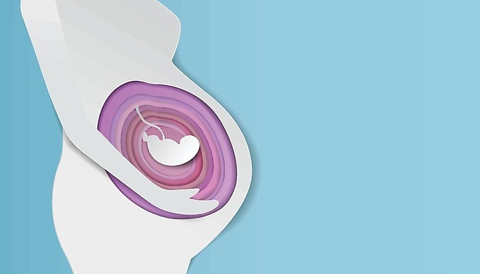 EPS 해외이미지 모양 라이프스타일 디자인 여자 행복 실루엣 어린이 선 포즈 백그라운드 컨셉 신체 일러스트 가족 엄마 추상 건강 사랑 사람 숫자 임산부 임신 흰색 하트 아기 기다림 스케치 심볼 심플 윤곽 내추럴 소셜 해외일러스트 문자 감정 컬러 무늬 관계 모션 촬영기법 미술 생활 파일형식 벡터 이미지허브