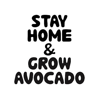 EPS 해외이미지 식물 실루엣 백그라운드 농업 채소 일러스트 자연 잉크 주택 건강 초록색 여름 정원 검은색 봄 거품 장식볼 흰색 신용카드 바이러스 낙서 유기농 원예 날것 손그림 아보카도 고립 바이오 채식주의자 레터링 비건 해외일러스트 웰빙 계절 산업 컬러 과일 촬영기법 취미 건물 장식 금융 생태계 채식 파일형식 벡터 이미지허브