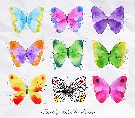 EPS 해외이미지 나비 일러스트 종류 사람없음 손그림 엘리먼트 해외일러스트 곤충 파일형식 벡터 이미지허브