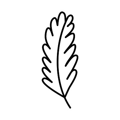 EPS 해외이미지 식물 디자인 배너 꽃 결혼 백그라운드 잎 꽃무늬 일러스트 자연 추상 휴가 미술 그래픽 장식 검은색 봄 수확 나뭇가지 신용카드 낙서 인쇄 스케치 심볼 싱글 에코 유기농 복고 심플 윤곽 초대 손그림 고립 생태학 엘리먼트 해외일러스트 나무 웰빙 계절 교육 컬러 무늬 농업 문화예술 이벤트 금융 환경 생태계 파일형식 벡터 이미지허브