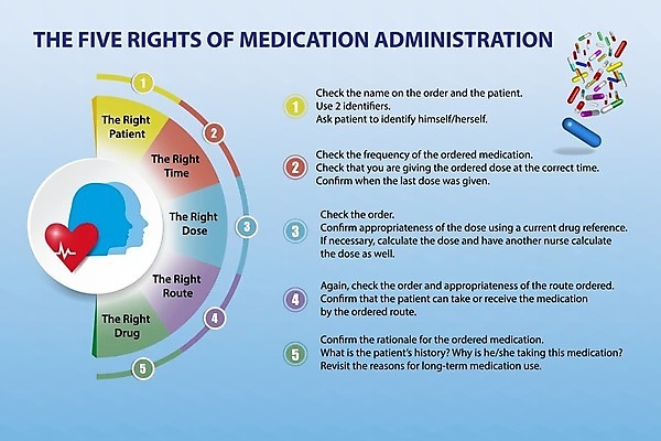 EPS 해외이미지 템플릿 직업 디자인 배너 교육 실루엣 종이 백그라운드 컨셉 일러스트 텍스트 성공 건강 병원 안전 타이포그라피 단어 컬러풀 숫자 알약 약 라벨 환자 하트 업무 원형 발표 보호 심볼 직원 사인 5 타입 단계 순서 방법 조언 레터링 해외일러스트 모양 도형 문자 컬러 의학 프레임 촬영기법 작업 파일형식 벡터 이미지허브