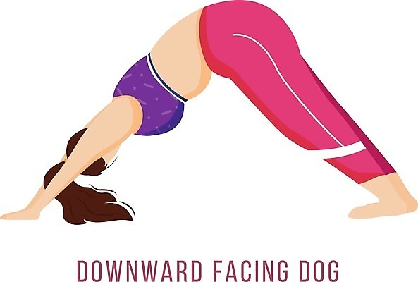 EPS 해외이미지 전신 여자 일러스트 숙이기 한명 성인 운동복 스트레칭 얼굴없음 성인여자한명만 해외일러스트 1 옷 포즈 사람 운동 여자한명만 성인여자만 파일형식 벡터 이미지허브