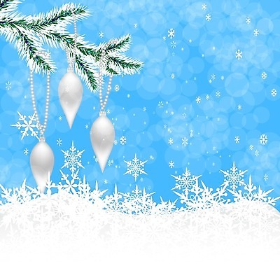 EPS 해외이미지 나무 식물 전통 디자인 실루엣 백그라운드 크리스마스 일러스트 자연 휴가 새로움 기념 프레임 장식 파란색 장난감 축제 공백 나뭇가지 축하 인사 소나무 신용카드 떨어짐 연도 심볼 뼈대 상록수 침엽수 고립 가문비나무 현실 해외일러스트 기념일 컬러 컨셉 촬영기법 금융 예절 생태계 파일형식 벡터 이미지허브