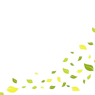 EPS 해외이미지 모양 나무 식물 디자인 실루엣 컨셉 잎 꽃무늬 일러스트 자연 추상 건강 초록색 세트 새싹 환경 정원 성장 나뭇가지 신선 플랫 숲 민트 허브 심볼 오브젝트 사인 에코 유기농 자작나무 내추럴 고립 생태학 엘리먼트 해외일러스트 웰빙 교육 꽃 컬러 무늬 촬영기법 생태계 파일형식 벡터 이미지허브