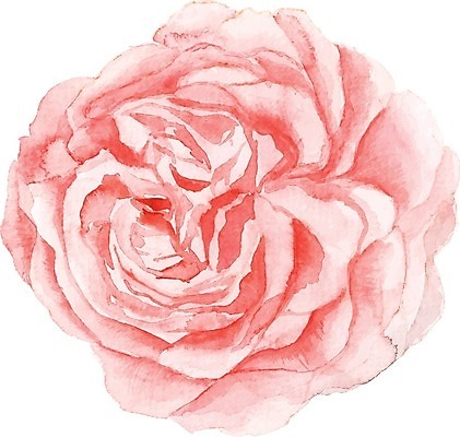 EPS 해외이미지 식물 일러스트 붓터치 사람없음 장미 그림 번짐 해외일러스트 꽃 파일형식 벡터 효과 이미지허브