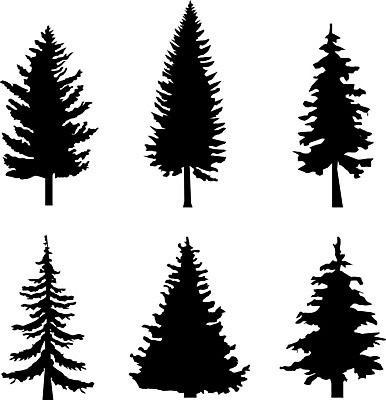 EPS 해외이미지 클립아트 나무 식물 디자인 공원 실루엣 줄기 일러스트 자연 야외 목재 세트 환경 검은색 나뭇가지 소나무 숲 큼 수집 심볼 싱글 윤곽 침엽수 전나무 내추럴 고립 혼자 해외일러스트 공공시설 컬러 재료 촬영기법 크기 생태계 파일형식 벡터 이미지허브