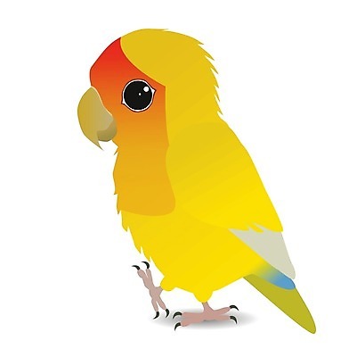 EPS 해외이미지 동물 일러스트 아프리카 조류 사랑 빨간색 반려동물 컬러풀 노란색 귀여움 숲 만화 스마트 깃털 부리 앵무새 코믹 계산서 이국적 잉꼬 지능 해외일러스트 감정 나라 컬러 컨셉 파일형식 벡터 이미지허브
