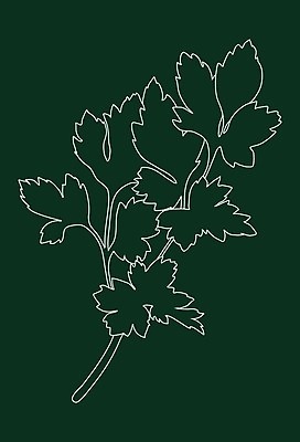 EPS 해외이미지 식물 선 음식 백그라운드 잎 채소 일러스트 재료 자연 파슬리 건강 요리 미술 초록색 정원 샐러드 흰색 나뭇가지 신선 고명 양념 조미료 맛 다발 허브 향신료 오브젝트 싱글 유기농 날것 향기 윤곽 향 내추럴 고립 채식주의자 비건 해외일러스트 나무 웰빙 컬러 컨셉 문화예술 생태계 채식 냄새 향미료 파일형식 벡터 이미지허브