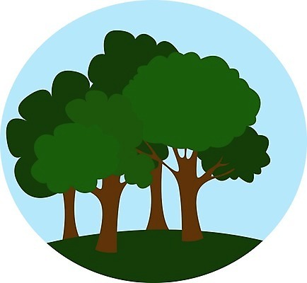 EPS 해외이미지 나무 식물 여행 백그라운드 잎 일러스트 자연 하늘 풍경 야외 목재 초록색 여름 파란색 환경 흰색 나뭇가지 황무지 숲 내추럴 아마존 이국적 해외일러스트 계절 컬러 재료 생태계 파일형식 벡터 이미지허브