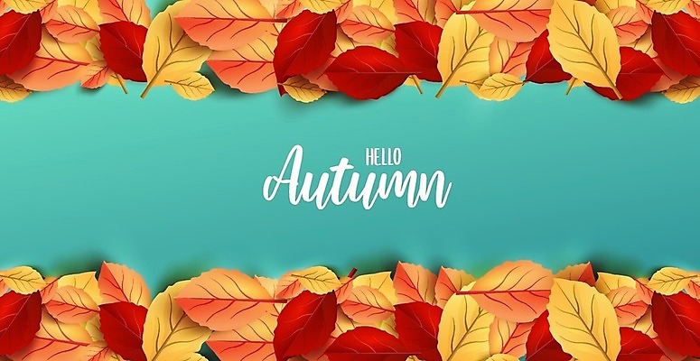 EPS 해외이미지 나무 식물 템플릿 디자인 배너 계절 포스터 리플렛 백그라운드 컨셉 단풍 잎 오렌지 일러스트 캘리그라피 텍스트 자연 벽지 휴가 프레임 선물 그래픽 장식 빨간색 컬러풀 노란색 라벨 세일 수확 가을 신용카드 인쇄 9월 사인 질감 초대 주말 추수감사절 10월 엘리먼트 레터링 해외일러스트 기독교 컬러 농업 과일 금융 날짜 생태계 파일형식 벡터 이미지허브