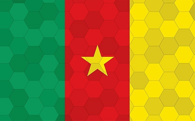 EPS 해외이미지 디자인 배너 별 문화 여행 백그라운드 일러스트 아프리카 추상 미래 그래픽 빨간색 초록색 노란색 줄무늬 손상 깃발 심볼 사인 그림 육각형 직사각형 애국심 벌집 고립 독립 전국 해외일러스트 자연요소 도형 나라 컬러 컨셉 무늬 파일형식 벡터 이미지허브