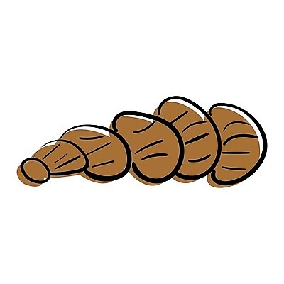 EPS 해외이미지 모양 동물 디자인 야생동물 바다 여행 백그라운드 일러스트 자연 휴가 조개 연체동물 나선형 미술 해변 그래픽 장식 물 여름 수중 껍질 소라 스케치 심볼 오브젝트 그림 달팽이 수족관 내추럴 고립 앵무조개 엘리먼트 이국적 활자 해외일러스트 자연요소 계절 무늬 문화예술 어패류 무척추동물 생태계 활자판 파일형식 벡터 인쇄판 인쇄 이미지허브