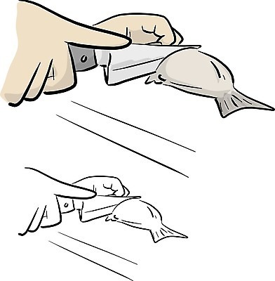 EPS 해외이미지 직업 손 음식 조각 백그라운드 다이어트 오렌지 일러스트 재료 탁자 건강 육류 어류 요리 사람 주방 식당 일본 요리사 식사 저녁식사 초밥 회 신선 칼 맛 낙서 스케치 자르기 해산물 준비 그림 날것 윤곽 손그림 연어 고립 해외일러스트 아시아 가구 컨셉 과일 식재료 모션 미술 신체부위 상점 수중동물 일본음식 파일형식 벡터 이미지허브