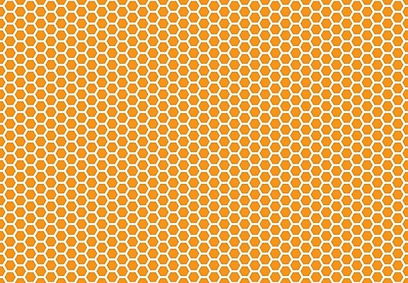 EPS 해외이미지 모양 디자인 선 백그라운드 패턴 오렌지 일러스트 자연 벽지 추상 미래 세포 기술 그래픽 장식 노란색 웹 흰색 직물 머리빗 둥지 인쇄 타일 질감 심플 전자 모자이크 육각형 꿀 벌집 밀랍 엘리먼트 왁스 스타일 해외일러스트 도형 컬러 컨셉 무늬 인터넷 과일 미용용품 생태계 파일형식 벡터 이미지허브