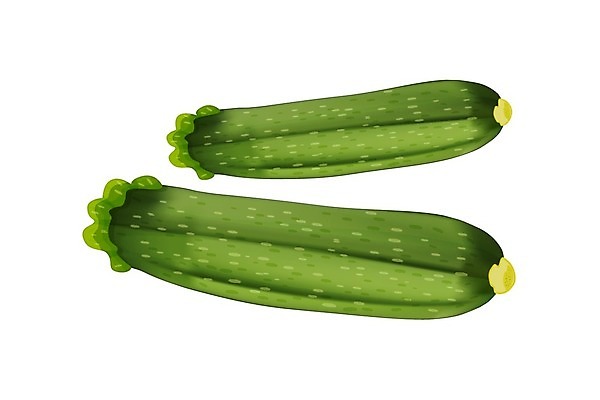 EPS 해외이미지 식물 디자인 포스터 음식 백그라운드 농업 다이어트 채소 과일 일러스트 재료 자연 건강 미술 책 초록색 농장 라벨 정원 웹 샐러드 수확 흰색 신선 신용카드 시장 잡지 만화 먹기 심볼 오브젝트 유기농 날것 클립 페이지 팩 스쿼시 고립 숙성 식용 주키니 주키니호박 채식주의자 비건 해외일러스트 웰빙 산업 스포츠 컬러 인터넷 모션 문화예술 프레임 간행물 금융 구기 화장품 생태계 채식 파일형식 벡터 이미지허브