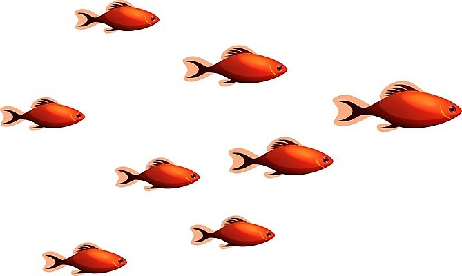 EPS 해외이미지 동물 야생동물 바다 일러스트 자연 항해 어류 풍경 물 세계 바닷속 수중 해조류 다이빙 수족관 동물상 이국적 해외일러스트 자연요소 배_교통 조형물 수영 수중동물 해양식물 생태계 수중스포츠 파일형식 벡터 이미지허브