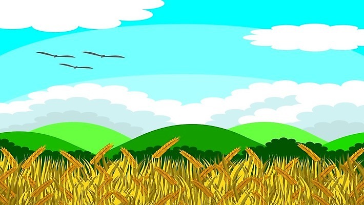 EPS 해외이미지 나무 식물 구름 계절 음식 백그라운드 잎 일러스트 자연 하늘 밥 씨앗 풍경 야외 초록색 여름 파란색 농작물 농장 노란색 환경 봄 수확 성장 가을 시골 황금 낟알 땅 시리얼 밀 유기농 귀 내추럴 고립 논밭 밭일 숙성 수평선 현실 해외일러스트 자연요소 웰빙 컬러 밭 농업 곡류 논 신체부위 생태계 파일형식 벡터 이미지허브