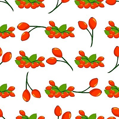 EPS 해외이미지 열매 종이 음식 벽 백그라운드 잎 패턴 과일 일러스트 자연 벽지 빨간색 장미 주스 수확 신선 달콤 맛 상품 인쇄 엉덩이 먹기 유기농 레이아웃 날것 내추럴 고립 숙성 식용 포장소품 많음 해외일러스트 식물 웰빙 꽃 음료 컬러 컨셉 무늬 농업 포장 모션 신체부위 오브젝트 생태계 포장재료 파일형식 벡터 이미지허브