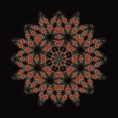 EPS 해외이미지 템플릿 디자인 꽃 종교 백그라운드 꽃무늬 패턴 일러스트 요가 추상 미술 동양인 장식 세트 수확 소용돌이 원형 신용카드 고급 이슬람교 인도인 수집 명상 그림 질감 복고 신분 동쪽 부족 만다라 아랍어 아즈텍 엘리먼트 튀르키예 해외일러스트 도형 외국인 식물 웰빙 아시아 컨셉 무늬 농업 문화예술 인종 금융 회오리 방향 파일형식 벡터 이미지허브