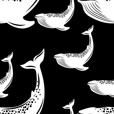 EPS 해외이미지 동물 디자인 바다 일러스트 포유류 자연 흑백 물 수중 수영 플랫 심볼 고래 대륙 그림 고립 동물상 생태학 해외일러스트 자연요소 교육 촬영기법 조형물 수중동물 수상스포츠 생태계 파일형식 벡터 이미지허브