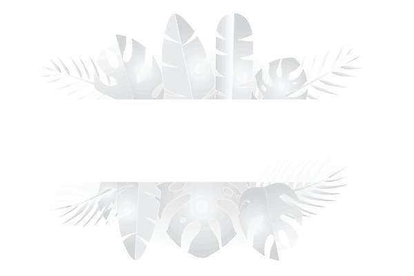 EPS 해외이미지 종이 백그라운드 잎 일러스트 프레임 손바닥 여름 회색 흰색 그늘 자르기 심플 스타일 미니멀리스트 해외일러스트 식물 손 계절 컬러 모션 파일형식 벡터 이미지허브