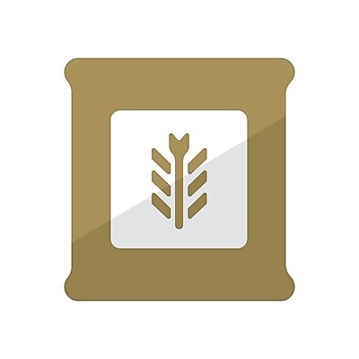 EPS 해외이미지 식물 디자인 선 음식 빵 백그라운드 컨셉 농업 가방 일러스트 비즈니스 재료 학교 자연 건강 요리 씨앗 그래픽 픽토그램 농장 검은색 식사 빵집 수확 흰색 플랫 먹이 낟알 시리얼 밀 삼베 심볼 사인 그림 유기농 심플 밀가루 자루 내추럴 UI 고립 엘리먼트 귀리 해외일러스트 웰빙 잡화 교육 산업 컬러 곡류 상점 가루 생태계 파일형식 벡터 천_직물 이미지허브