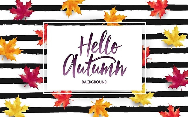 EPS 해외이미지 템플릿 디자인 배너 계절 포스터 리플렛 백그라운드 컨셉 단풍 잎 오렌지 일러스트 비즈니스 캘리그라피 추상 휴가 프레임 장식 빨간색 초록색 노란색 유행 세일 검은색 웹 줄무늬 흰색 신용카드 플랫 9월 11월 사인 초대 추수감사절 승진 10월 엘리먼트 필기체 카피스페이스 해외일러스트 식물 문자 기독교 컬러 무늬 인터넷 과일 금융 공백 날짜 파일형식 벡터 이미지허브