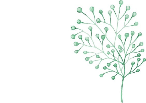 EPS 해외이미지 식물 잎 일러스트 붓터치 사람없음 그림 번짐 해외일러스트 파일형식 벡터 효과 이미지허브