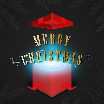 EPS 해외이미지 전통 배너 계절 행복 포스터 별 리본 백그라운드 컨셉 크리스마스 겨울 일러스트 캘리그라피 공 휴가 새로움 새해 귤 선물 이벤트 장식 초록색 상자 파티 축제 나뭇가지 축하 인사 소나무 신용카드 눈송이 황금 고급 12월 연도 심볼 엽서 초대 엘리먼트 레터링 해외일러스트 자연요소 나무 기념일 감정 컬러 과일 눈_날씨 금융 예절 날짜 편지 파일형식 벡터 이미지허브