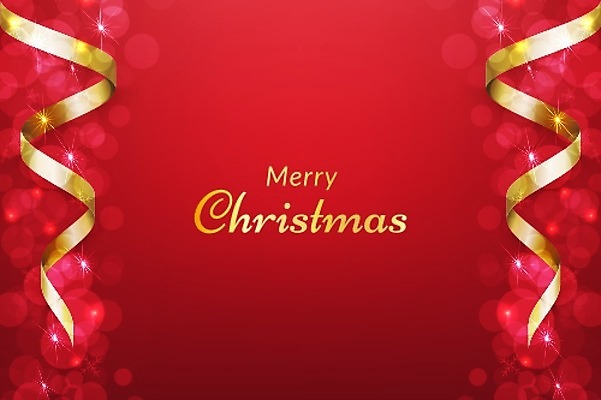 EPS 해외이미지 템플릿 디자인 배너 기념일 포스터 별 리본 결혼 백그라운드 크리스마스 겨울 일러스트 휴가 불꽃 새해 크리스마스카드 프레임 선물 이벤트 사람없음 그래픽 장식 빨간색 빛 파티 세일 축제 덮개 축하 인사 신용카드 생일 황금 고급 보케 초대 신성 야광 카피스페이스 현실 해외일러스트 자연요소 계절 컬러 컨셉 불 카드_감사 금융 공백 뚜껑 예절 파일형식 벡터 이미지허브