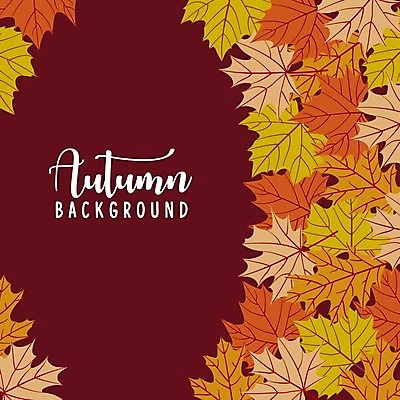 EPS 해외이미지 손글씨 백그라운드 단풍 낙엽 일러스트 프레임 타이포그라피 사람없음 버건디 해외일러스트 문자 잎 빨간색 파일형식 벡터 이미지허브