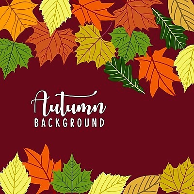 EPS 해외이미지 손글씨 단풍 낙엽 일러스트 사람없음 가을 버건디 가을배경 해외일러스트 계절 백그라운드 잎 빨간색 파일형식 벡터 가을_계절 이미지허브