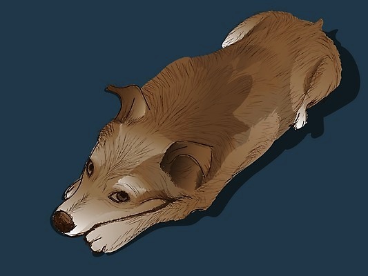 EPS 해외이미지 동물 응시 얼굴 백그라운드 일러스트 포유류 주택 털 미술 그래픽 파란색 반려동물 컬러풀 갈색 상점 어둠 우정 수확 구출 개 달콤 강아지 만화 그림 복고 손그림 생강 수의사 송곳니 거짓말 충실 현실 해외일러스트 시선 컬러 농업 채소 문화예술 건물 신체부위 친구 의사 도움 맛 치아 파일형식 벡터 이미지허브