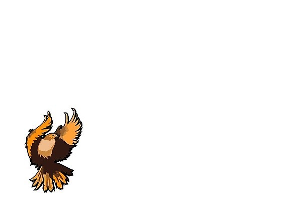 EPS 해외이미지 동물 디자인 별 백그라운드 스티커 날개 일러스트 조류 미술 그래픽 머리 라벨 검은색 미국 힘 펼침 자유 수확 흰색 문신 심볼 사인 복고 독수리 육식동물 배지 대머리 방패 애국심 휘장 고립 마스코트 엘리먼트 집게발 해외일러스트 자연요소 헤어스타일 컬러 컨셉 북아메리카 농업 모션 문화예술 프레임 신체부위 파일형식 벡터 이미지허브