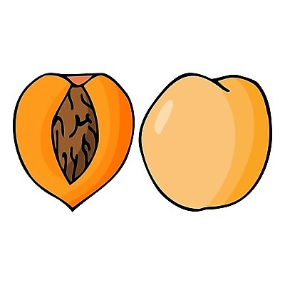 EPS 해외이미지 선 음식 조각 백그라운드 농업 다이어트 오렌지 과일 일러스트 재료 자연 디저트 건강 미술 여름 세트 노란색 흰색 신선 플랫 달콤 맛 낙서 만화 스케치 자르기 먹기 심볼 오브젝트 사인 그림 질감 윤곽 복숭아 고립 숙성 천도복숭아 해외일러스트 계절 산업 컬러 컨셉 모션 문화예술 생태계 파일형식 벡터 이미지허브