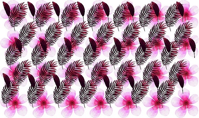 EPS 해외이미지 식물 디자인 꽃잎 꽃 종이 결혼 백그라운드 잎 꽃무늬 패턴 일러스트 자연 벽지 추상 새로움 손바닥 미술 그래픽 장식 초록색 여름 컬러풀 유행 디지털 정원 봄 수확 벚꽃 축하 직물 우아함 인쇄 그림 질감 이국적 해외일러스트 손 계절 컬러 컨셉 무늬 농업 문화예술 이벤트 생태계 파일형식 벡터 이미지허브