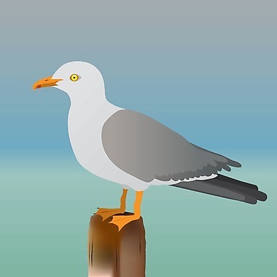 EPS 해외이미지 동물 야생동물 바다 날개 일러스트 갈매기 조류 어류 어업 앉기 목재 수영 웹 회색 깃털 부리 봉 물새 물갈퀴 계산서 해외일러스트 나무 산업 컬러 인터넷 재료 모션 수중동물 수상스포츠 파일형식 벡터 이미지허브