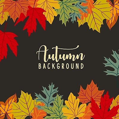 EPS 해외이미지 손글씨 백그라운드 단풍 낙엽 일러스트 나뭇잎 타이포그라피 사람없음 검은색 해외일러스트 문자 컬러 잎 파일형식 벡터 이미지허브