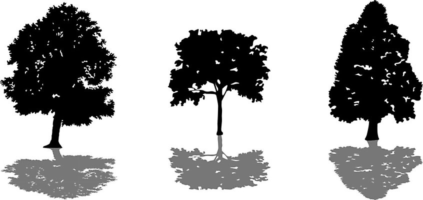 EPS 해외이미지 모양 나무 식물 디자인 공원 실루엣 줄기 백그라운드 단풍 잎 농업 일러스트 자연 미술 목재 그래픽 장식 세트 나뭇가지 숲 수집 오브젝트 그림 윤곽 자작나무 내추럴 고립 엘리먼트 해외일러스트 공공시설 산업 재료 문화예술 촬영기법 생태계 파일형식 벡터 이미지허브