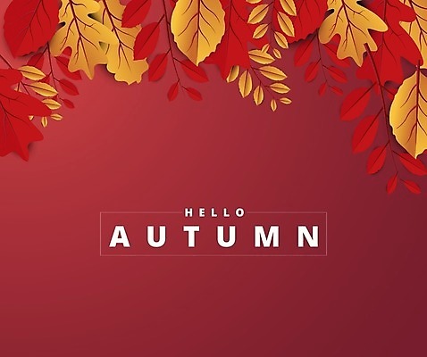 EPS 해외이미지 손글씨 백그라운드 단풍 낙엽 일러스트 나뭇잎 타이포그라피 사람없음 빨간색 해외일러스트 문자 컬러 잎 파일형식 벡터 이미지허브