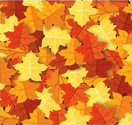 EPS 해외이미지 단풍 낙엽 일러스트 사람없음 주황색 해외일러스트 컬러 잎 파일형식 벡터 이미지허브