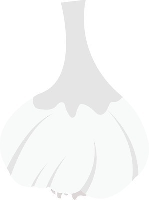 EPS 해외이미지 식물 선 음식 농업 일러스트 전구 마늘 요리 동양인 그래픽 약 주방 축제 신선 조미료 맛 허브 유기농 향료 성분 내추럴 고립 해외일러스트 웰빙 산업 컨셉 채소 의학 인종 향기 냄새 향미료 파일형식 벡터 이미지허브