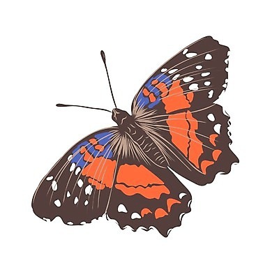 EPS 해외이미지 동물 디자인 야생동물 나비 곤충 결혼 백그라운드 컨셉 패턴 날개 오렌지 일러스트 자연 안테나 미술 그래픽 장식 초록색 여름 파란색 세트 컬러풀 갈색 노란색 검은색 공백 흰색 화려 클래식 수집 그림 초대 고립 스타일 현실 해외일러스트 계절 컬러 무늬 과일 통신 문화예술 이벤트 생태계 파일형식 벡터 이미지허브