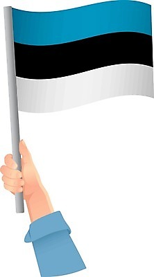 EPS 해외이미지 손 물결 여행 일러스트 손가락 휴가 이벤트 축제 자유 축하 깃발 잡기 작음 사인 깃대 봉 팔 애국심 독립 에스토니아 전국 해외일러스트 유럽 컨셉 모션 신체부위 크기 파일형식 벡터 나라 사람 이미지허브