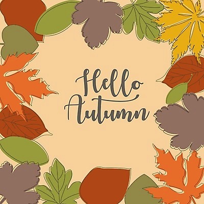 EPS 해외이미지 손글씨 백그라운드 단풍 낙엽 일러스트 프레임 사람없음 주황색 프레임일러스트 해외일러스트 컬러 잎 파일형식 벡터 이미지허브