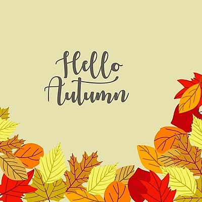 EPS 해외이미지 손글씨 백그라운드 단풍 낙엽 일러스트 나뭇잎 타이포그라피 사람없음 연두색 해외일러스트 문자 잎 초록색 파일형식 벡터 이미지허브