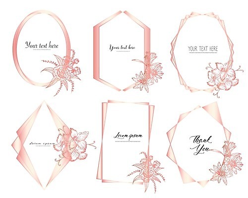 EPS 해외이미지 꽃 선 분홍색 잎 일러스트 사람없음 세트 테두리 지오메트릭 해외일러스트 식물 컬러 파일형식 벡터 이미지허브